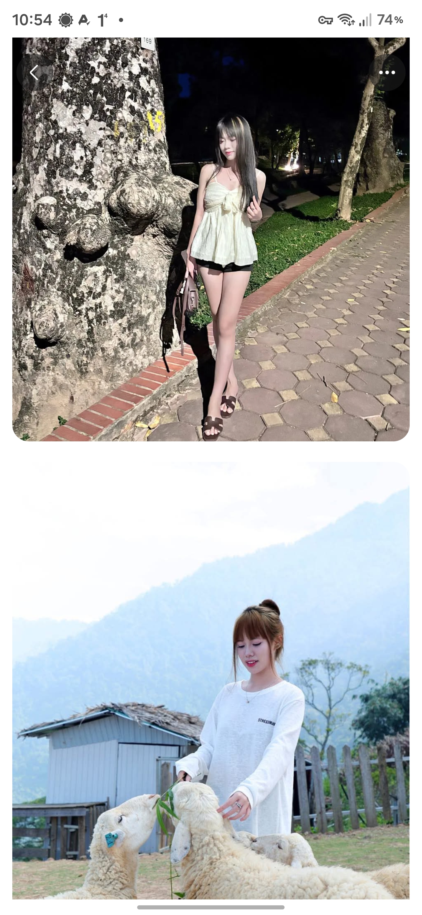 241183.jpg