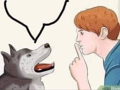 1000000927.jpg