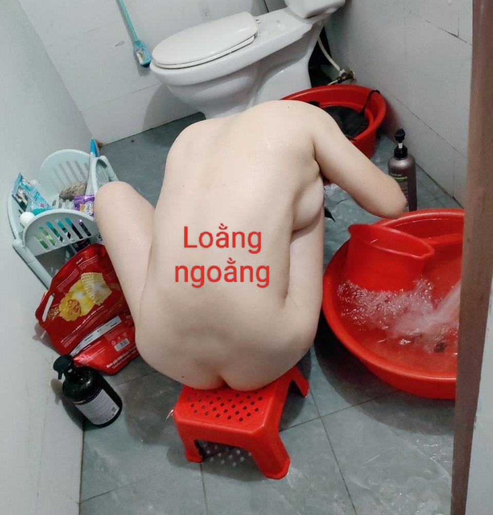 15335.jpg
