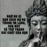 hisu_8868